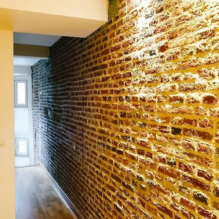 Апартаменты Magnifique Duplex De 90m² Au Coeur De Лилль